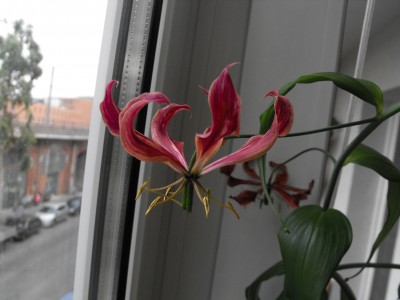 DSCF6055.JPG