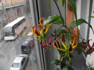 DSCF6056.JPG