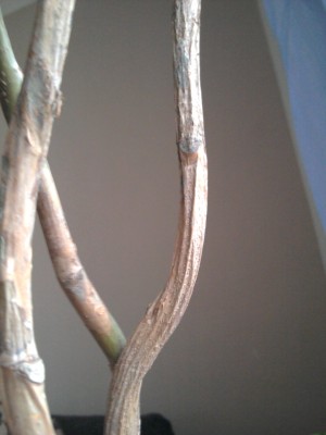 2012-06-14 20.26.34.jpg