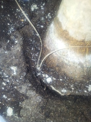 20120614_201753.jpg