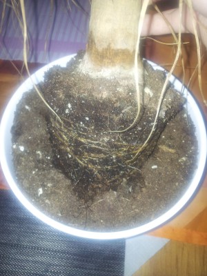 20120614_201737.jpg