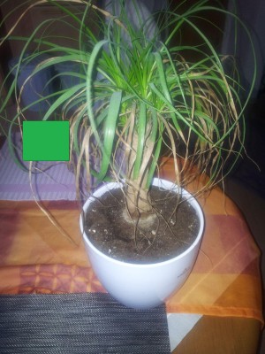 20120614_201646.jpg