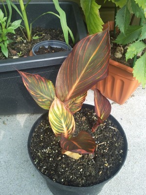 2012-06-14 16.37.02.jpg