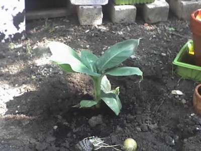 14-08-07_1139.jpg