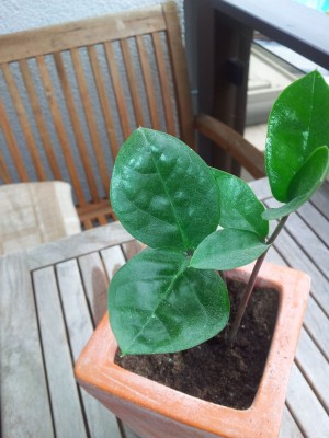 20120616_135424.jpg