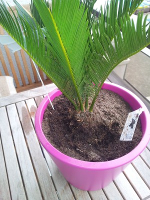 20120616_135742.jpg