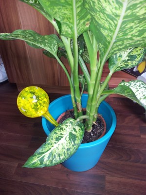 20120616_150837.jpg