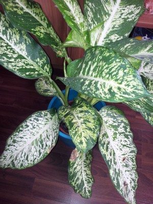 20120616_150830.jpg