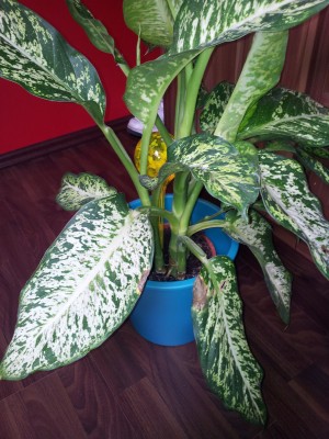 20120616_150817.jpg
