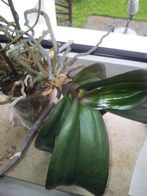 20120616_140022.jpg