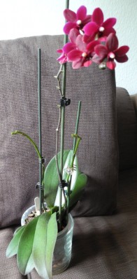 DSCN3149.jpg