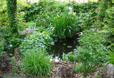 gartenteich.JPG
