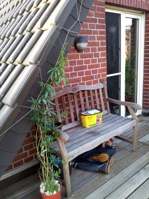 2012-06-18 20.12.54.jpg