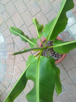 190620121282.jpg