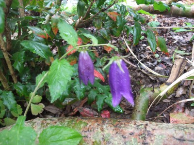 DSCF5998.JPG