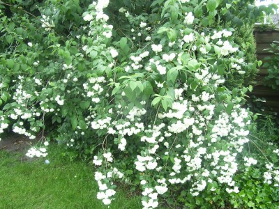 RIMG0074.JPG