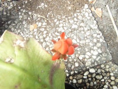 RIMG0072.JPG