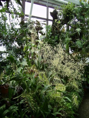 PIC_0028 (480x640).jpg