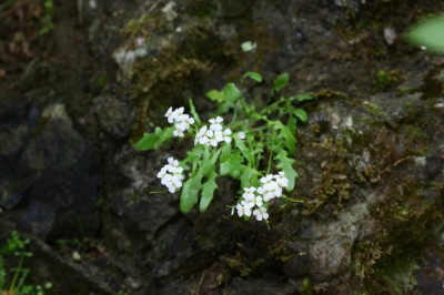 IMG_8776_1.jpg