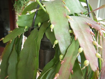 RIMG0103.JPG