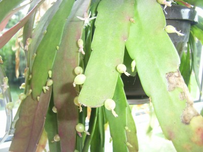 RIMG0101.JPG
