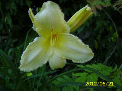 SA500281.JPG