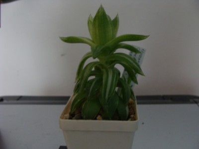 Meine Bilder 1508a.jpg