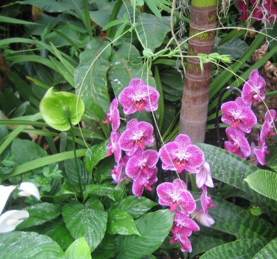 Floriade 2012 238.jpg