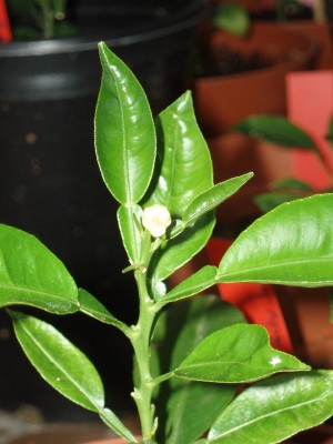 P6232820_mod.jpg