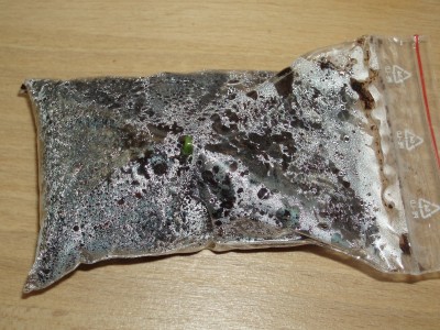 PC242777_mod.jpg