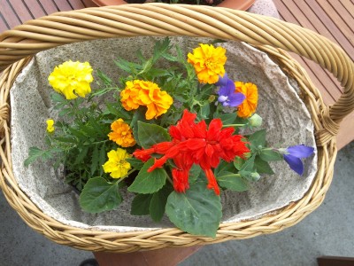 2012-06-23 13.59.08.jpg