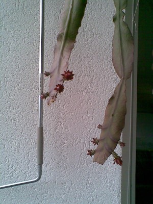 Bild000.jpg