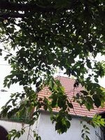 Foto0020.jpg