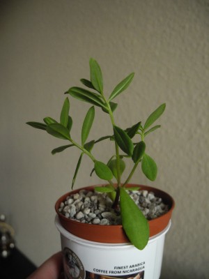 DSCN3880.jpg