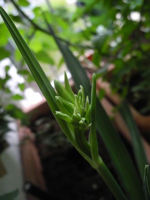 DSCN3903.JPG