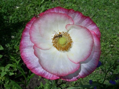 PIC_0008 (640x480).jpg