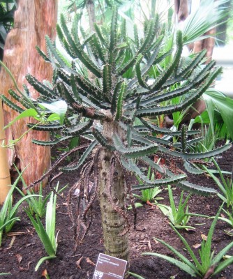 Floriade 2012 198.jpg