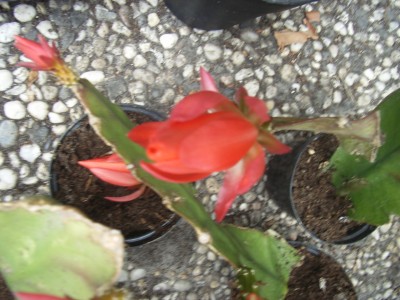 RIMG0155.JPG