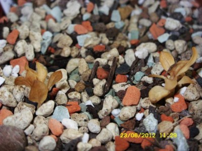 Photo29.jpg