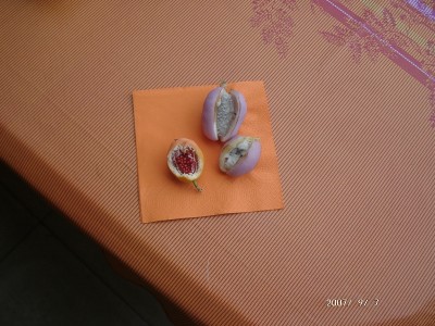 FRUCHT 01.jpg