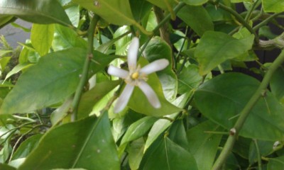 IMAG0432.jpg