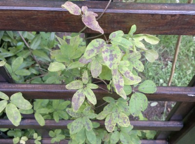 2012-06-26-337.jpg