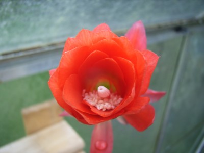 RIMG0179.JPG