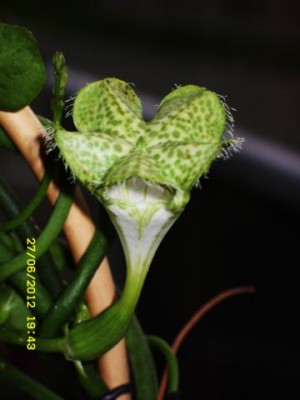 Photo6.jpg