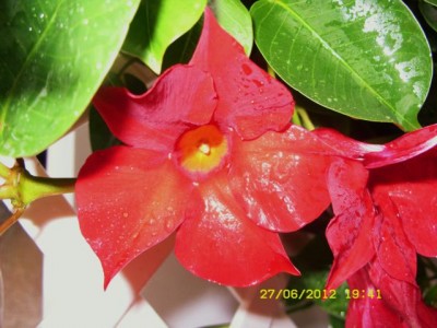 Photo1.jpg