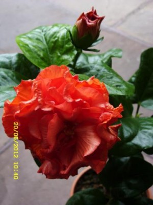 Photo5.jpg