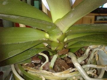 P2009_28-06-12.JPG