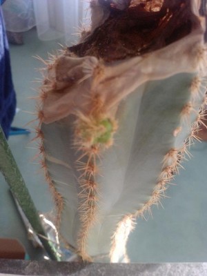 P0916_23-10-11.JPG