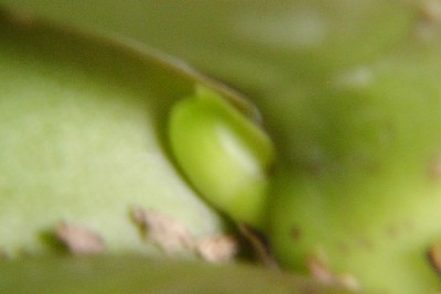 P6290414.jpg