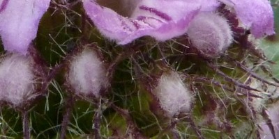 12-06-28-raetsel-2.JPG